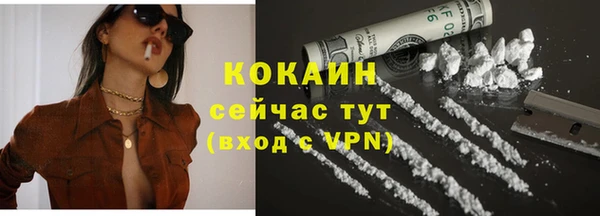 гидра Наволоки