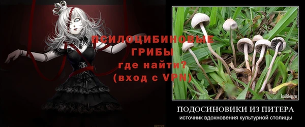 сатива Тында