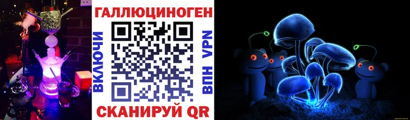 ссылка на мегу tor  Юрга  Псилоцибиновые грибы MAGIC MUSHROOMS 