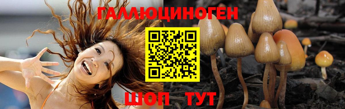 Галлюциногенные грибы MAGIC MUSHROOMS  Вход с VPN  Псилоцибиновые грибы Magic Shrooms  Юрга 